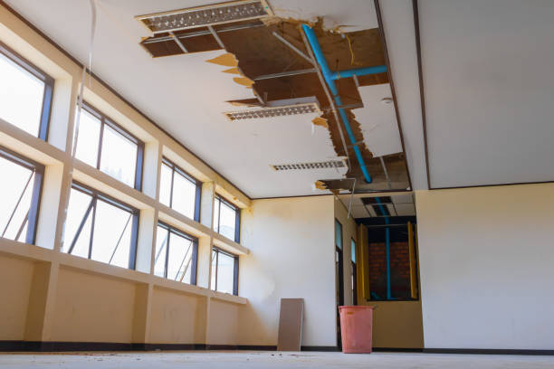 Best Flood damage cleanup  in East Village, CT