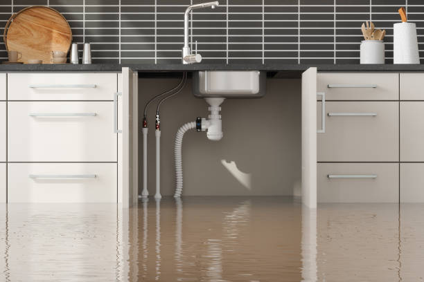 Best 24/7 water damage repair  in East Village, CT